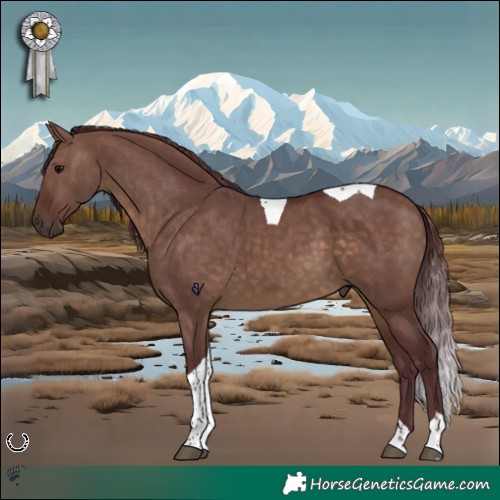 Horse Color:Chocolate Brown Dun Tobiano 