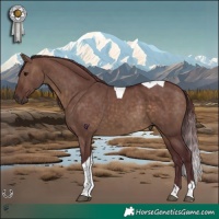 Horse Color:Chocolate Brown Dun Tobiano
