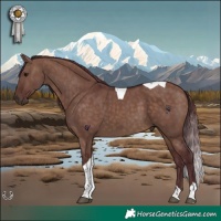Horse Color:Chocolate Brown Dun Tobiano 