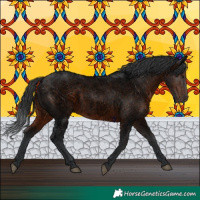 Horse Color:Void Brown Roan Rabicano 