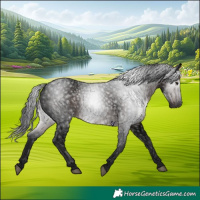 Horse Color:Gray Void Brown Roan Rabicano 