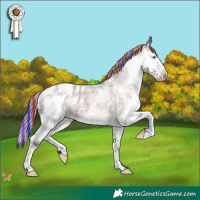 Horse Color:Painted White Spotted Silver Brown Roan Splash Appaloosa 