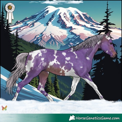 Horse Color:Watercolor White Spotted Silver Brown Tobiano 