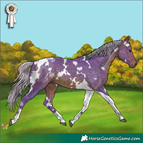 Horse Color:Watercolor White Spotted Silver Brown Tobiano 