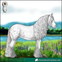 Horse Color:Watercolor White Spotted Silver Buckskin Roan Blanket 