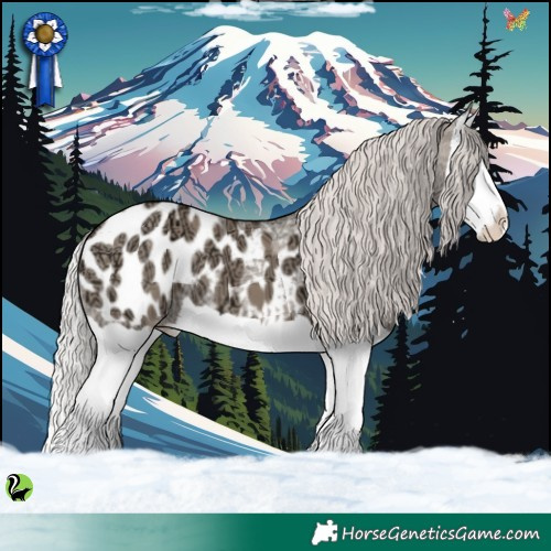 Horse Color:Silver Grullo Ice Splash Appaloosa 
