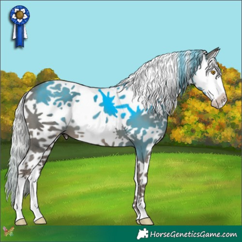 Horse Color:Silver Black Splash 
