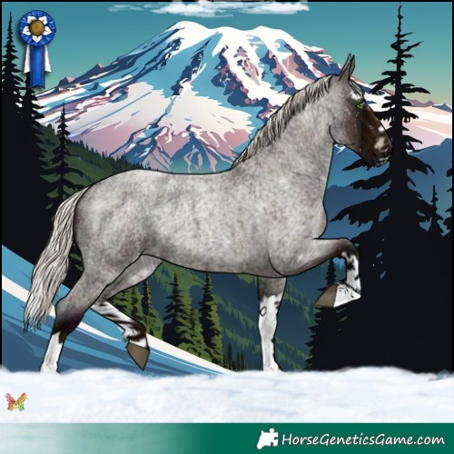 Horse Color:Midnight Silver Bay Ice Roan Splash 