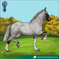 Horse Color:Midnight Silver Bay Ice Roan Splash 