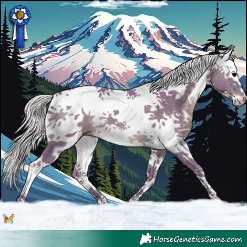Horse Color:Watercolor Silver Black Splash Tobiano 