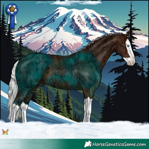 Horse Color:Silver Brown Ice Splash 