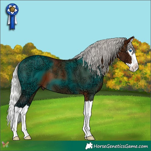 Horse Color:Silver Brown Ice Splash 