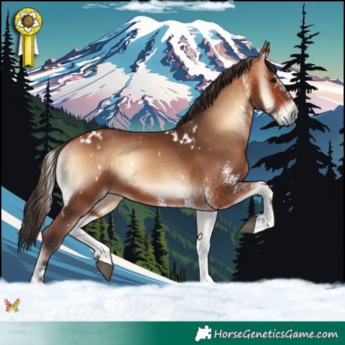 Horse Color:White Spotted Bay Onyx 