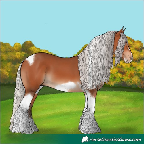 Horse Color:Silver Bay Tobiano Frame 