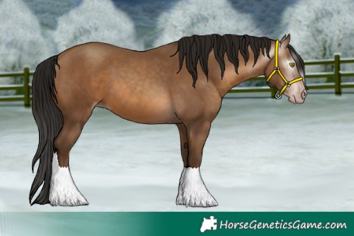 Horse Color:Gray Amber Champagne