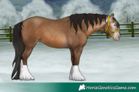 Horse Color:Gray Amber Champagne 