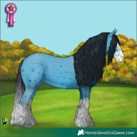 Horse Color:ERROR: UNKNOWN ANOMALY