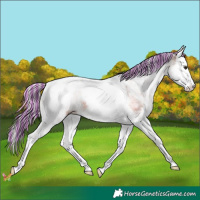 Horse Color:Painted White Spotted Silver Bay Splash Tobiano 
