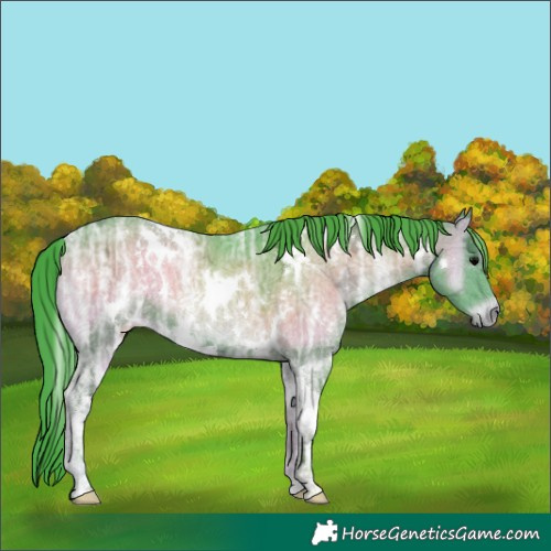 Horse Color:Watercolor White Spotted Blue Onyx Ice 
