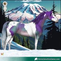 Horse Color:Watercolor Liver Chestnut Splash Tobiano 