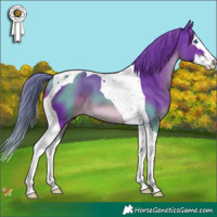 Horse Color:Watercolor Liver Chestnut Splash Tobiano 