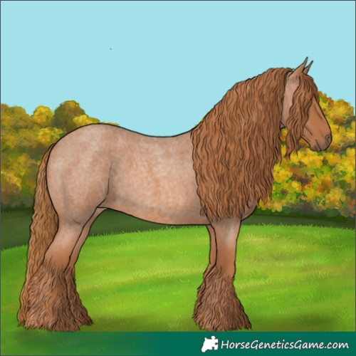 Horse Color:Red Roan 