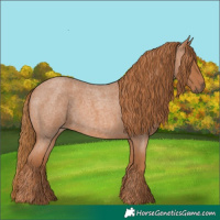 Horse Color:Red Roan 