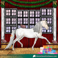 Horse Color:Silver Amber Champagne Pearl Dun Tobiano Blanket Rabicano  and Silver Amber Champagne Pearl Dun Tobiano Blanket Rabicano 