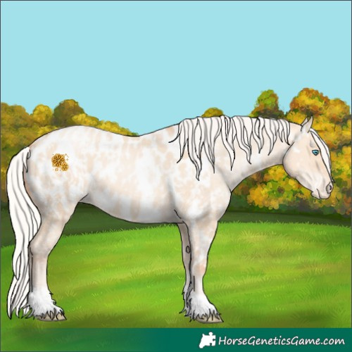 Horse Color:Silver Amber Champagne Pearl Dun Tobiano Appaloosa Rabicano  and Silver Amber Champagne Pearl Dun Tobiano Appaloosa Rabicano 