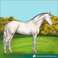 Horse Color:Silver Amber Champagne Pearl Dun Tobiano Appaloosa Rabicano and Silver Amber Champagne Pearl Dun Tobiano Appaloosa Rabicano