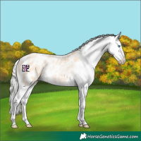 Horse Color:Silver Amber Champagne Pearl Dun Tobiano Appaloosa Rabicano and Silver Amber Champagne Pearl Dun Splash Tobiano Appaloosa Rabicano