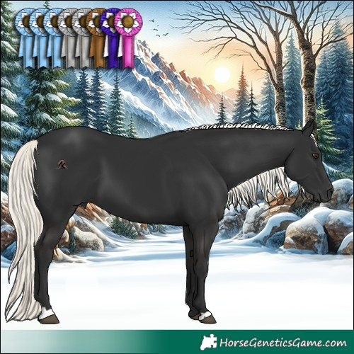 Horse Color:Liver Chestnut Mushroom 