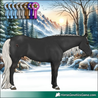 Horse Color:Liver Chestnut Mushroom 