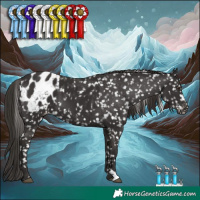 Horse Color:Liver Chestnut Blanket 