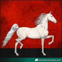 Horse Color:Silver Sable Cream Champagne Pearl