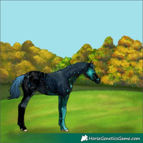 Horse Color:ERROR: UNKNOWN ANOMALY