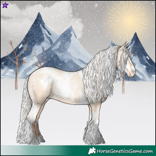 Horse Color:Silver Amber Champagne Pearl Dun Tobiano Appaloosa Rabicano and Silver Amber Champagne Pearl Dun Tobiano Frame Appaloosa Rabicano