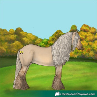 Horse Color:Chocolate Palomino Dun 