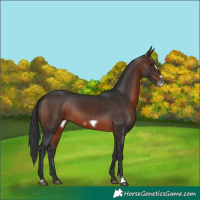Horse Color:Brown Frame 