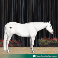 Horse Color:Silver Amber Champagne Pearl Dun Tobiano Varnish Rabicano  and Silver Amber Champagne Pearl Dun Tobiano Varnish Rabicano 