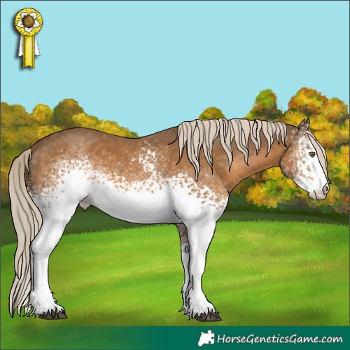 Horse Color:White Spotted Chocolate Palomino 