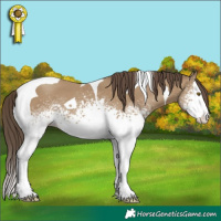 Horse Color:White Spotted Classic Cream Champagne Splash Tobiano 