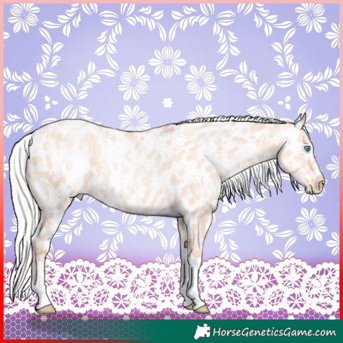 Horse Color:Silver Amber Champagne Pearl Dun Tobiano Near Leopard Rabicano  and Silver Amber Champagne Pearl Dun Tobiano Near Leopard Rabicano 