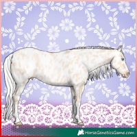 Horse Color:Silver Amber Champagne Pearl Dun Tobiano Appaloosa Rabicano and Silver Amber Champagne Pearl Dun Tobiano Appaloosa Rabicano