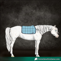 Horse Color:Silver Amber Champagne Pearl Dun Tobiano Near Leopard Rabicano  and White Spotted Silver Amber Champagne Pearl Dun Tobiano Near Leopard Rabicano 
