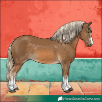 Horse Color:Chocolate Palomino 