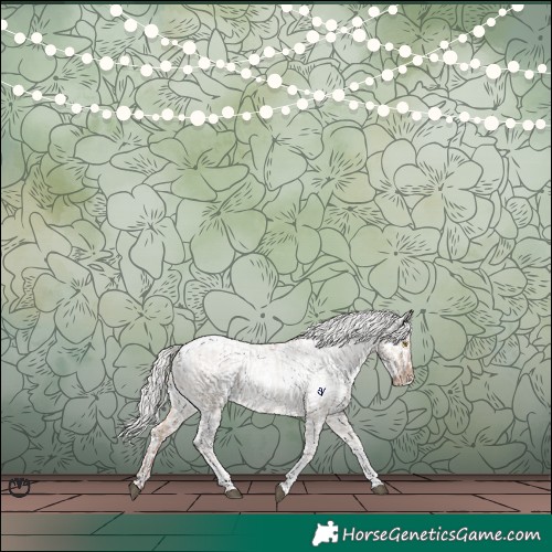 Horse Color:Silver Brown Pearl Dun Tobiano Varnish Rabicano  and Silver Amber Champagne Pearl Dun Tobiano Varnish Rabicano 