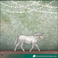 Horse Color:Silver Brown Pearl Dun Tobiano Appaloosa Rabicano and Silver Amber Champagne Pearl Dun Tobiano Appaloosa Rabicano