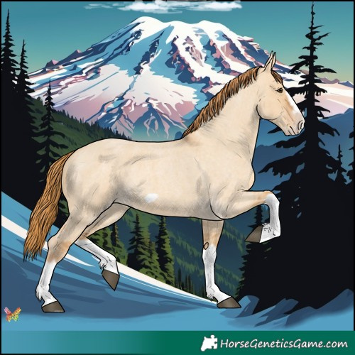 Horse Color:Red Dun Roan Splash Frame Rabicano