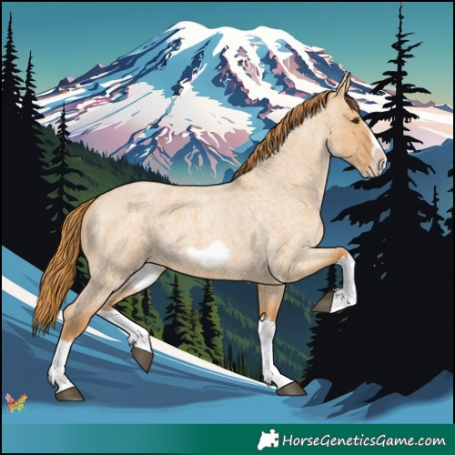 Horse Color:Red Dun Roan Splash Frame Rabicano